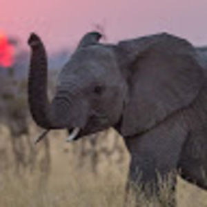 Meet your Posher, Carla